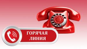 Горячая линия по вопросам применения приказов Минпросвещения России Горячая линия по вопросам применения приказов Минпросвещения России.